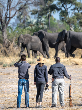Wilderness Qorokwe Botswana Activities Gomoti Walking Excursion
