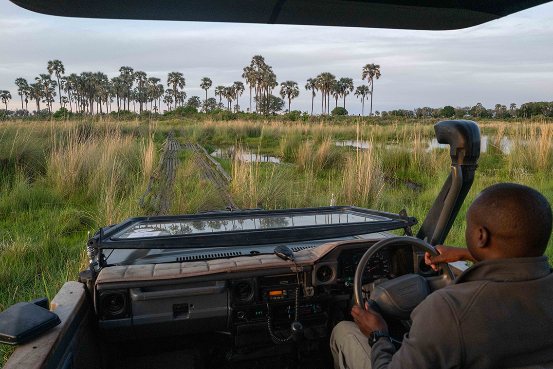 Wilderness Qorokwe Botswana Activities Game Drive