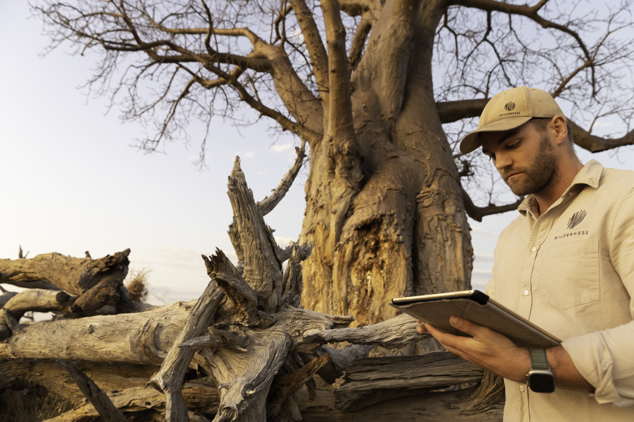 A man in a hat holds a tablet while standing next to large tree branches, with a baobab in the background.
