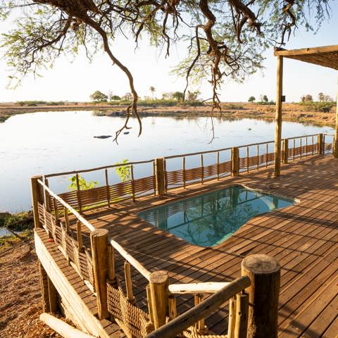 Luxury safari deck with private plunge pool overlooking a wildlife-rich waterhole in Botswana’s Linyanti Reserve, shaded by an ancient tree
