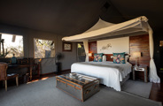 Wilderness Chitabe Lediba Accommodation Guest Room