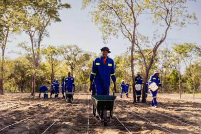 Ngamo farmers sponsored by Wilderness building their knowledge and farming in local communities