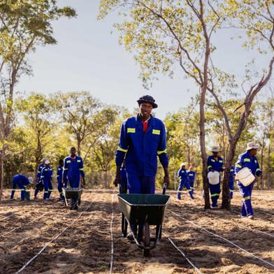 Ngamo farmers sponsored by Wilderness building their knowledge and farming in local communities