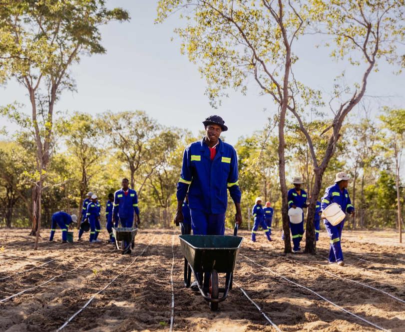 Ngamo farmers sponsored by Wilderness building their knowledge and farming in local communities