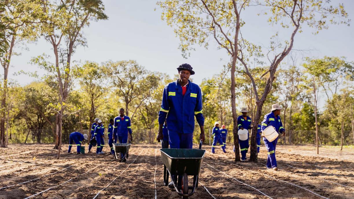 Ngamo farmers sponsored by Wilderness building their knowledge and farming in local communities