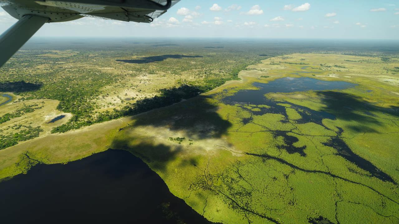 Aerial view from a small plane showing a vast, green, watery landscape with a mix of wetland