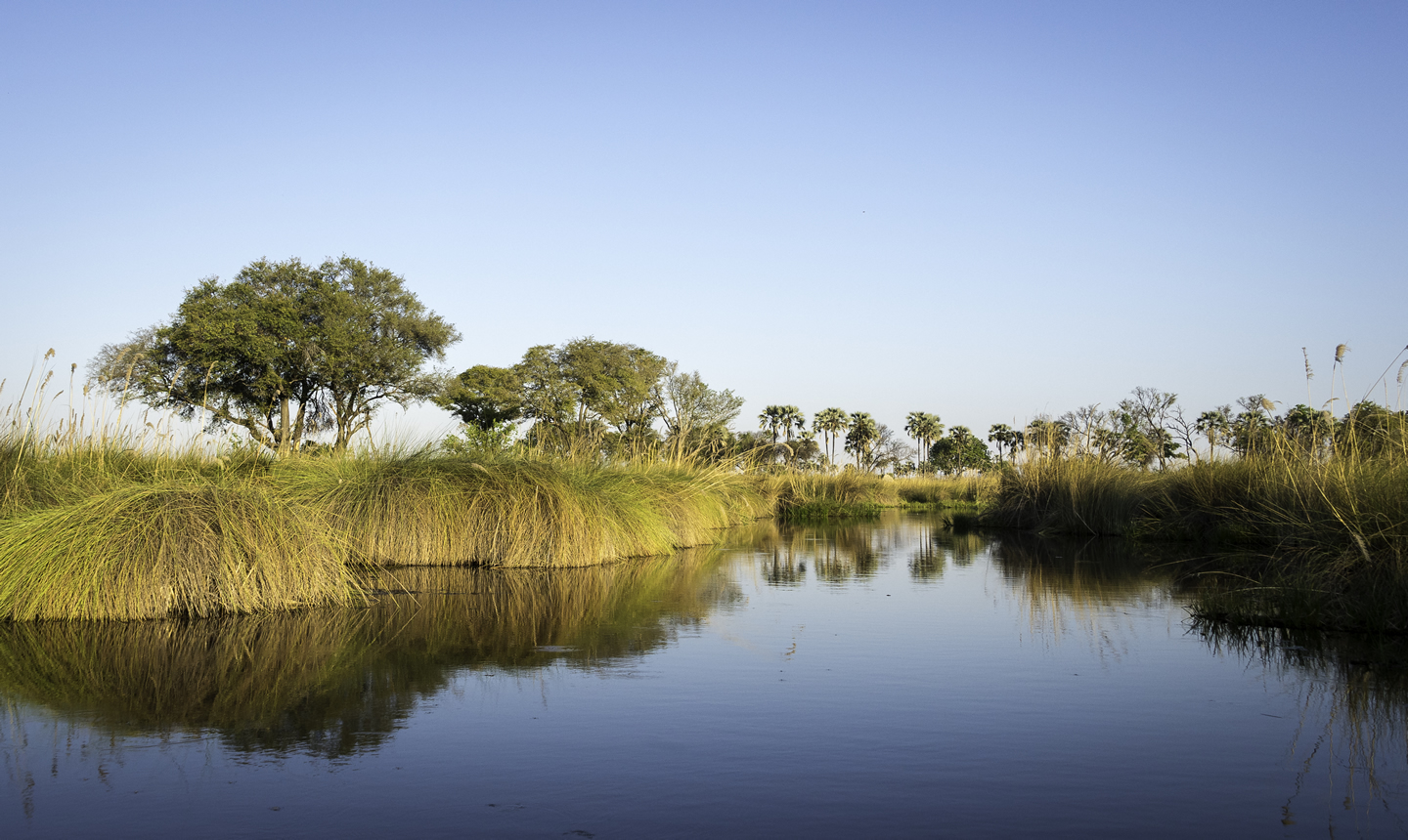 Wilderness Botswana Wetlands