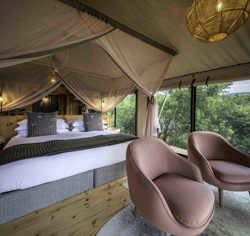 Wilderness Magashi Rwanda Accommodation Guest Room Interior