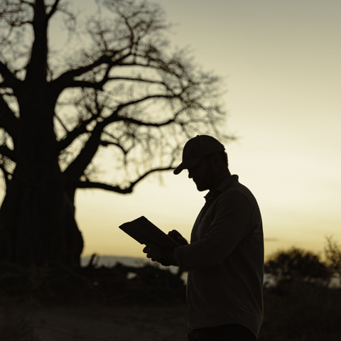 Silhouette of a person wearing a cap, holding a tablet near a baobab at sunset