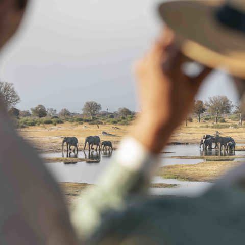 Wilderness Camera Tips Photography On Safari 