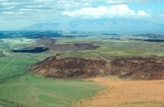 The Namibian desert transformed to green hues after rains in May 2026