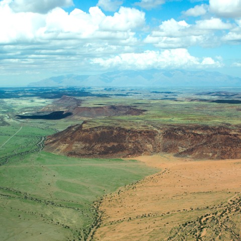 The Namibian desert transformed to green hues after rains in May 2026