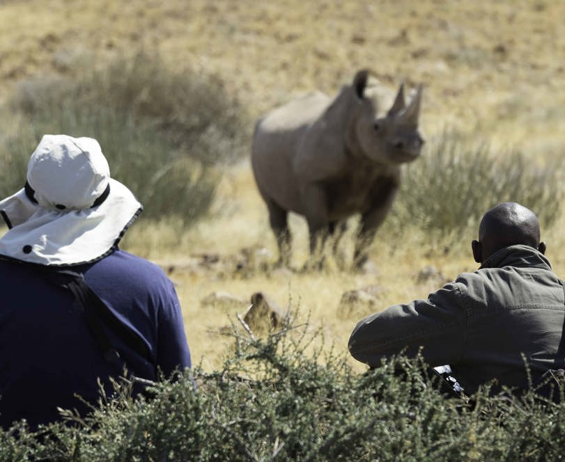 Wilderness Desert Rhino Camp Rhino Trekking