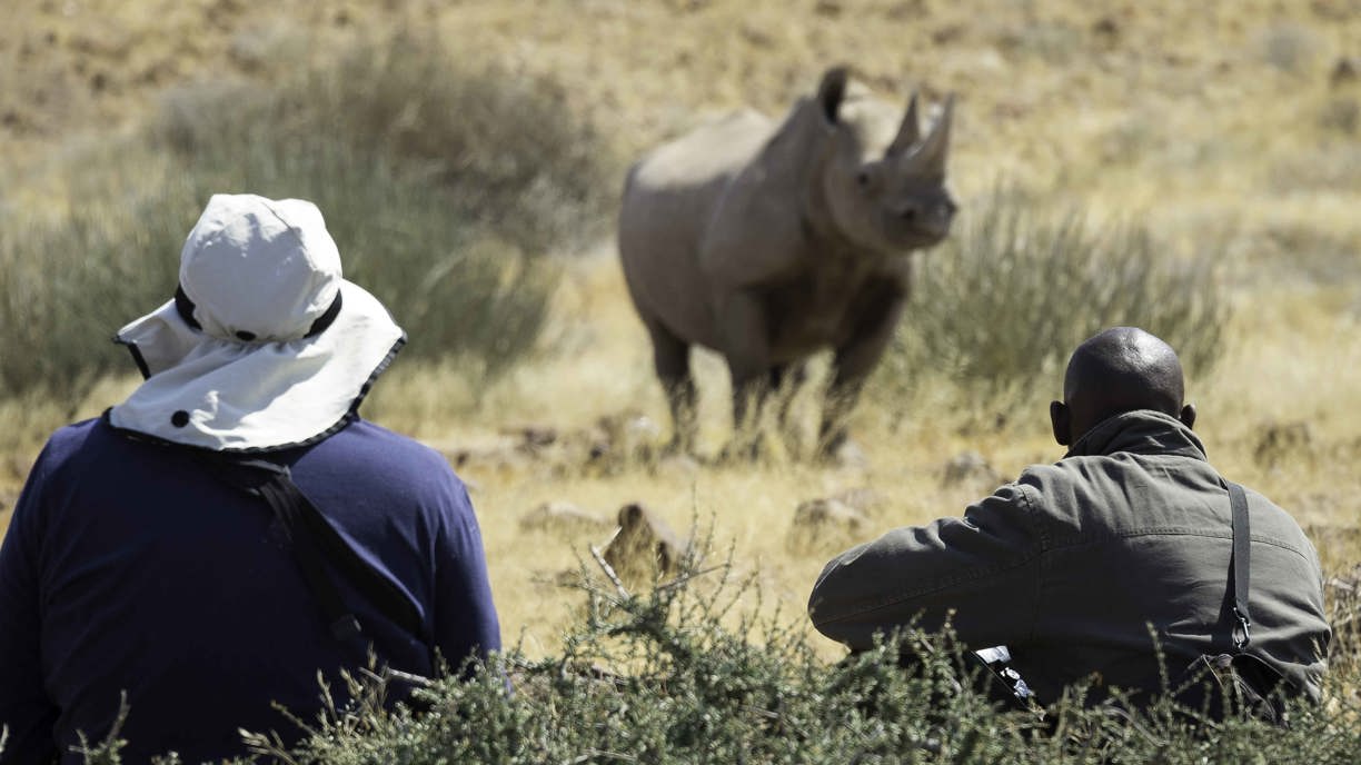 Wilderness Desert Rhino Camp Rhino Trekking