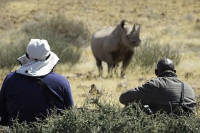 Wilderness Desert Rhino Camp Rhino Trekking