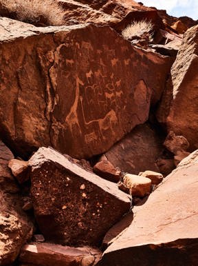 Wilderness Damaraland Camp Wildlife Namibia Activities Twyfelfontein