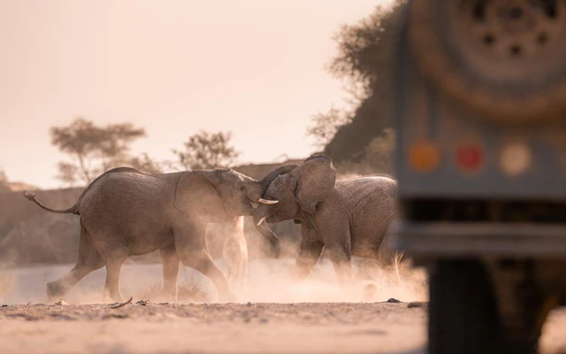 Namibian Adventure Safari