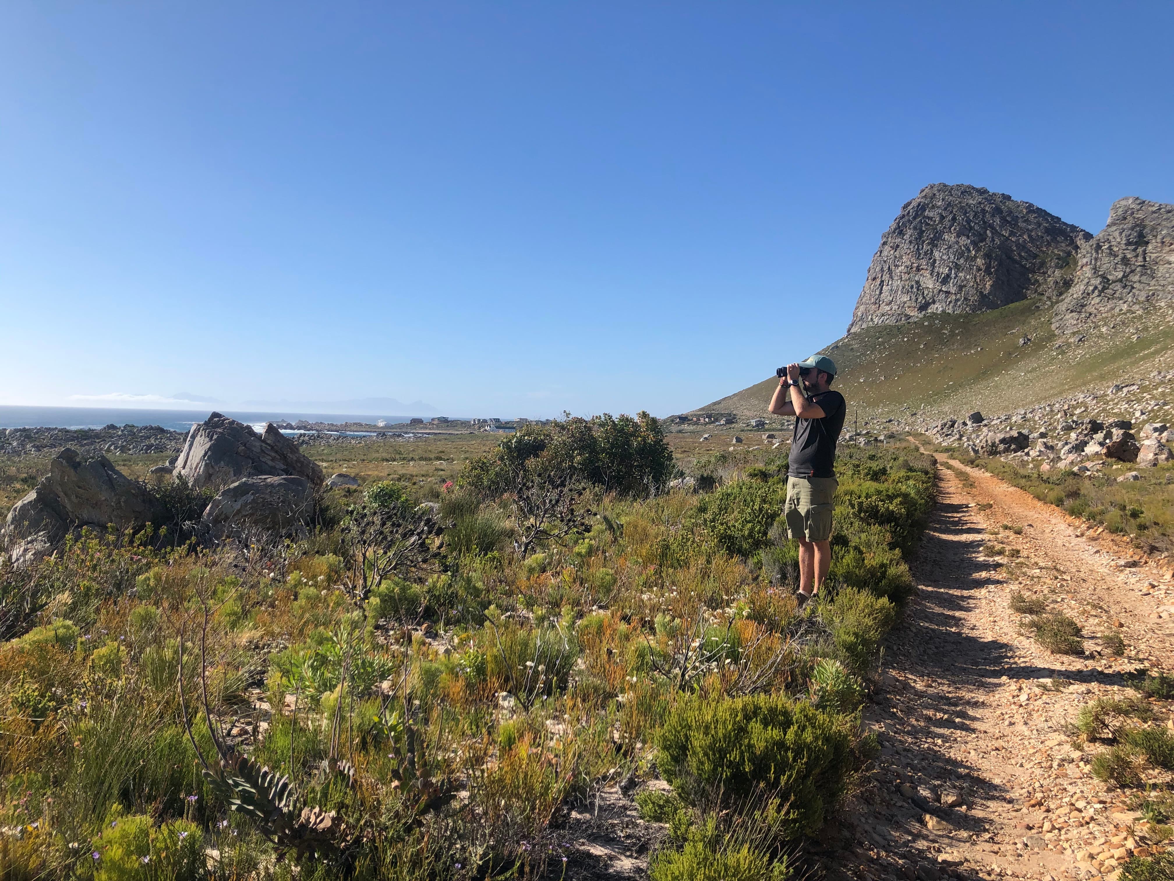 Edward looking for cape rockjumpers in South Africas Western Cape