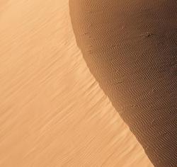 Aerial view of a dune crest