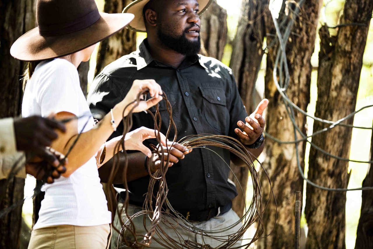 Wilderness Impact Protect Hwange Scorpions