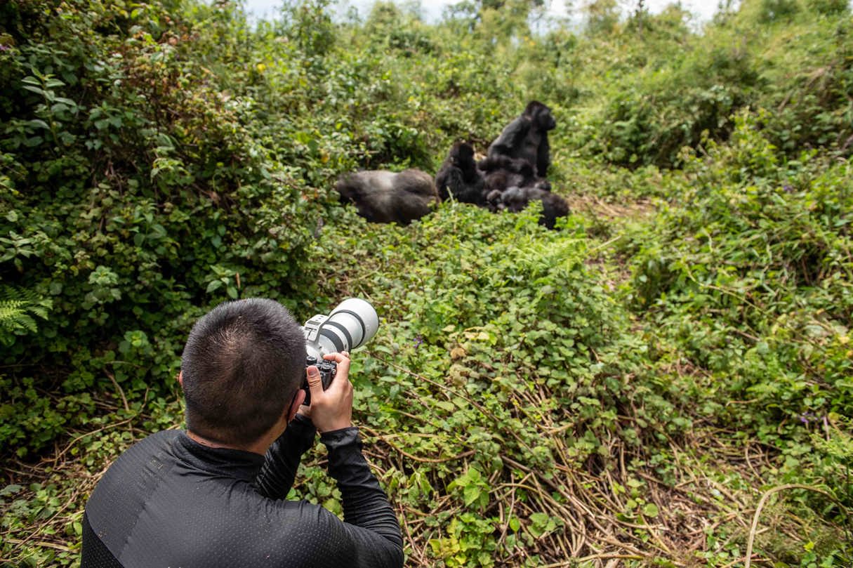 Wilderness Camera Tips Photography Gorilla Trekking