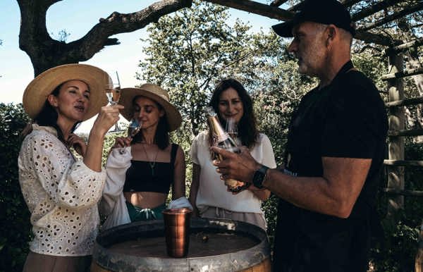 Wine Tasting Cape Town Wilderness Touring
