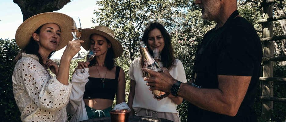 Wine Tasting Cape Town Wilderness Touring