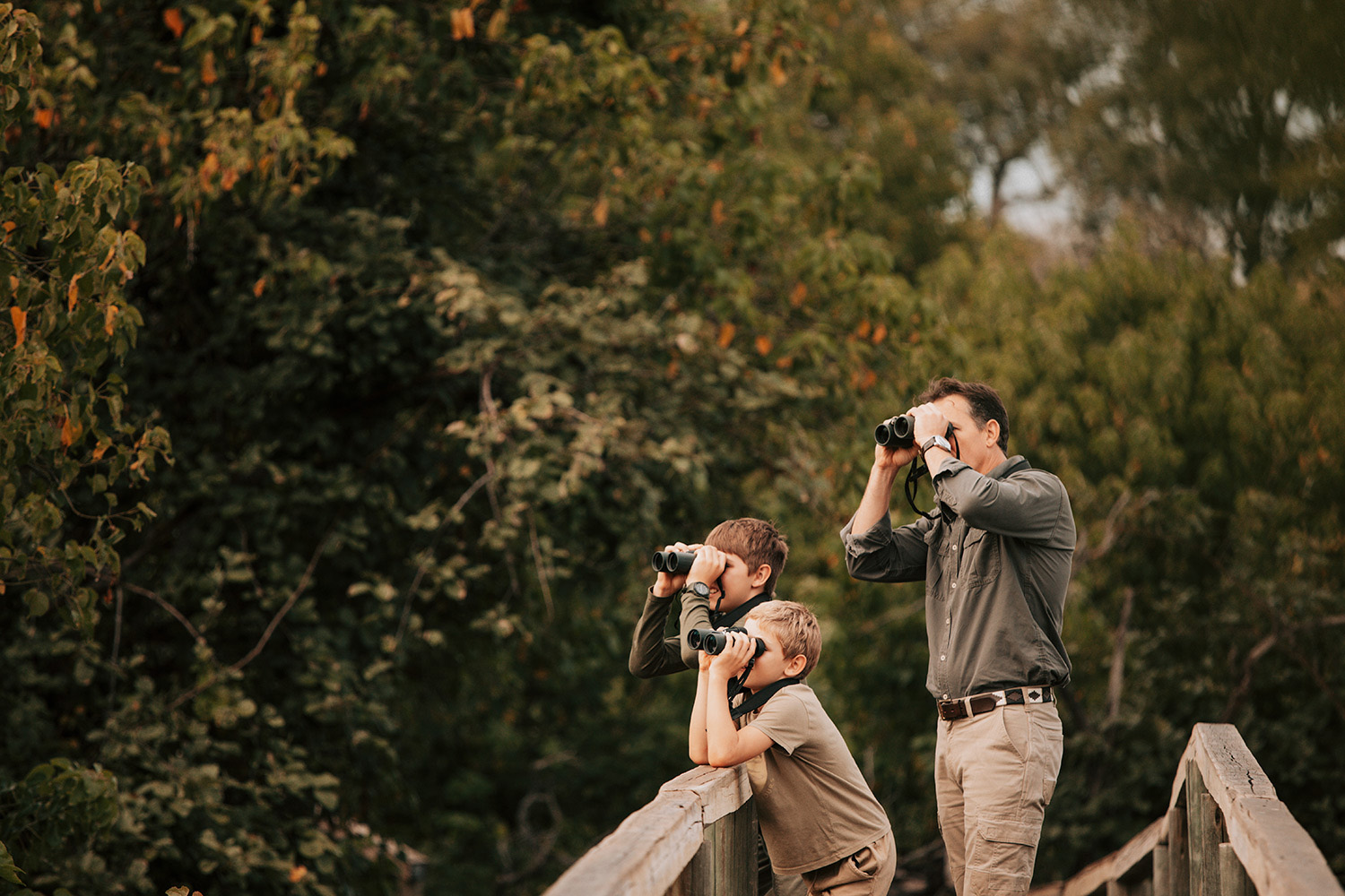 Wilderness Savuti Botswana Activities Birding