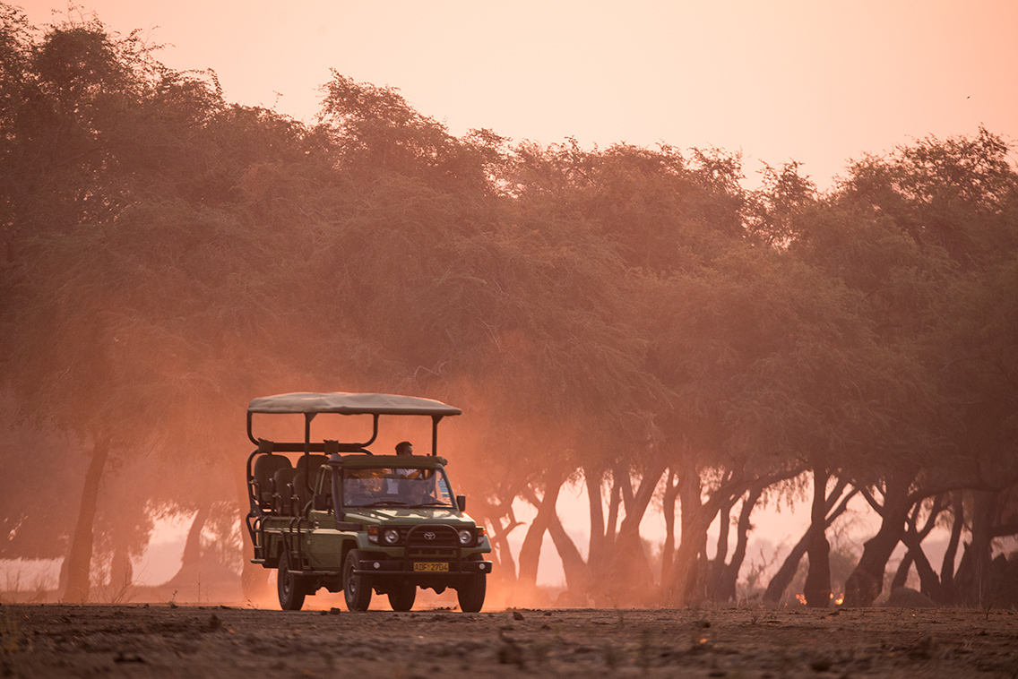 Game drive safari experience in Zimbabwe wilderness