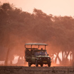 Game drive safari experience in Zimbabwe wilderness