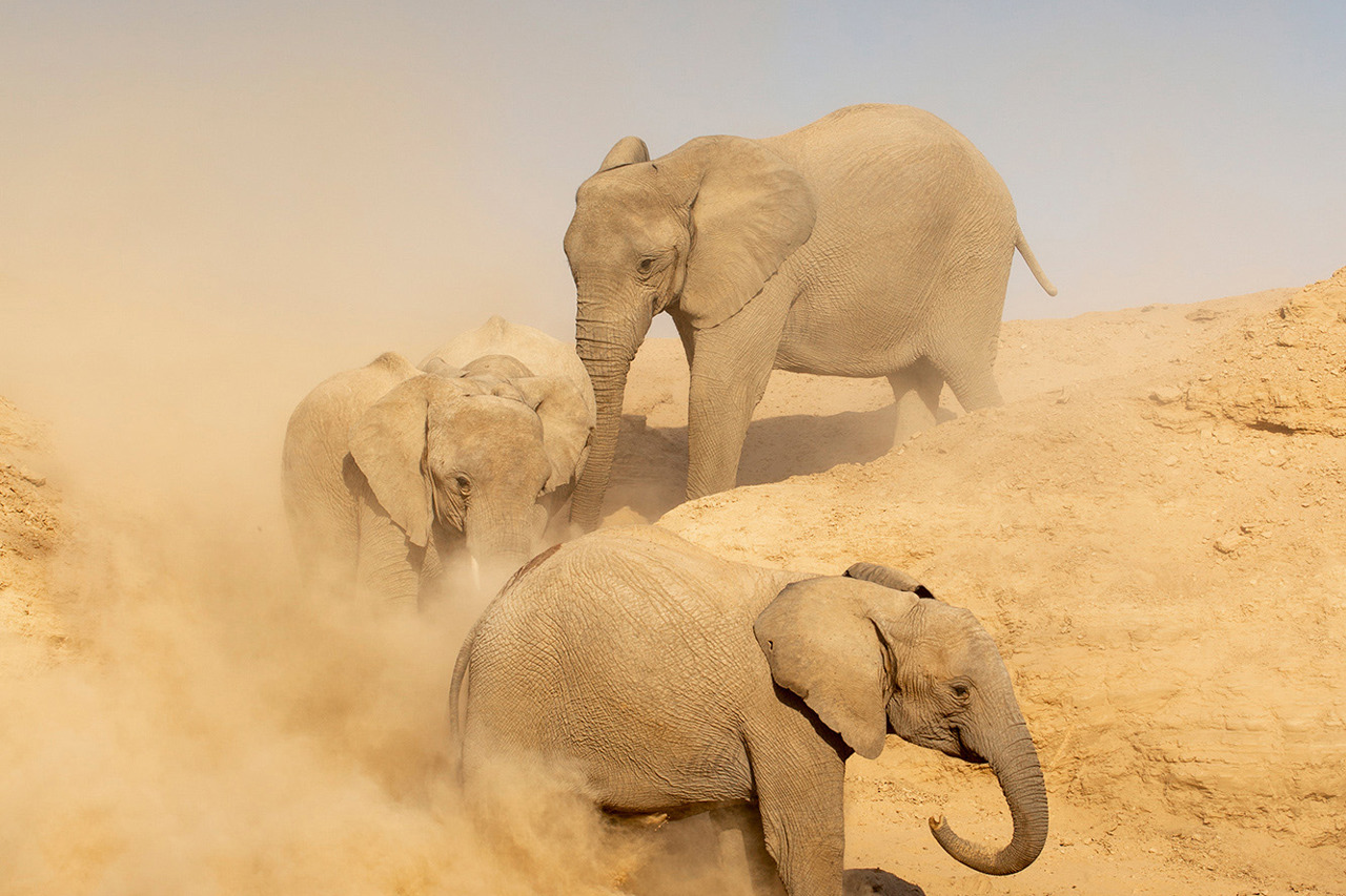 Wilderness Hoanib Skeleton Coast Namibia Impact Purpose