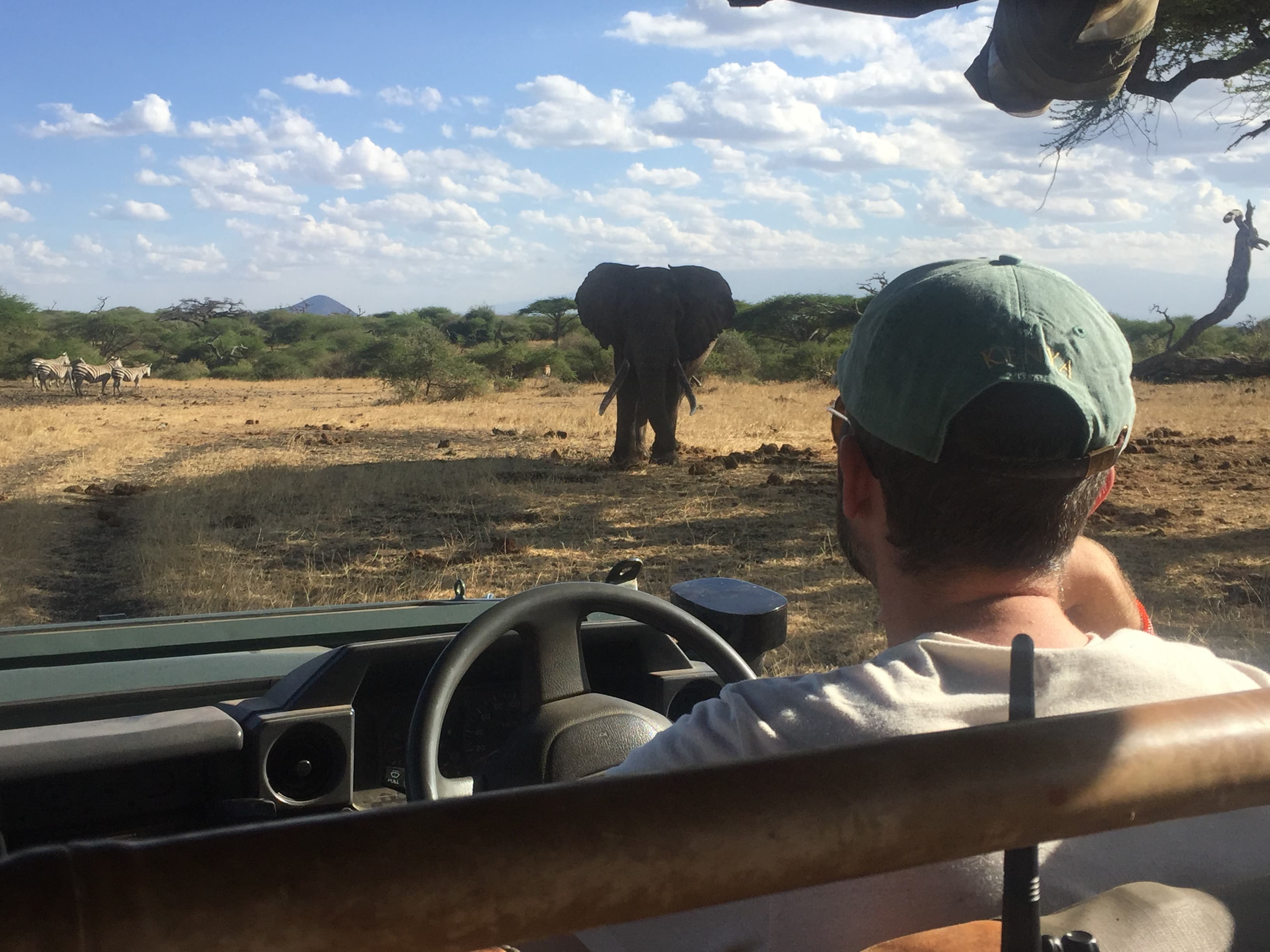 Edward driving next to an elephant in Kenya