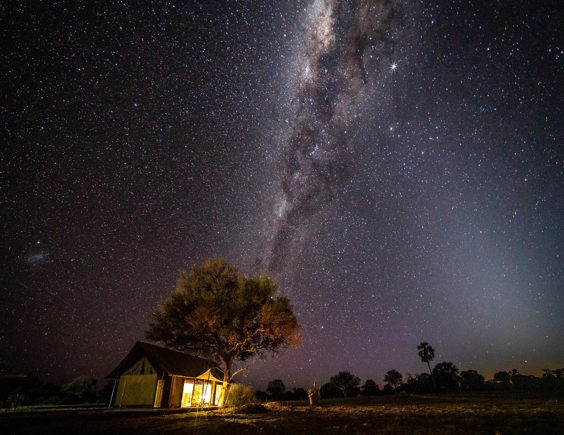 Stargazing safari experience under African night sky