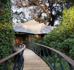 Elevated walkways at Wilderness Chitabe allow wildlife to wonder undisturbed