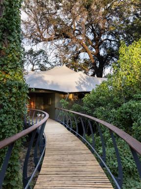 Elevated walkways at Wilderness Chitabe allow wildlife to wonder undisturbed