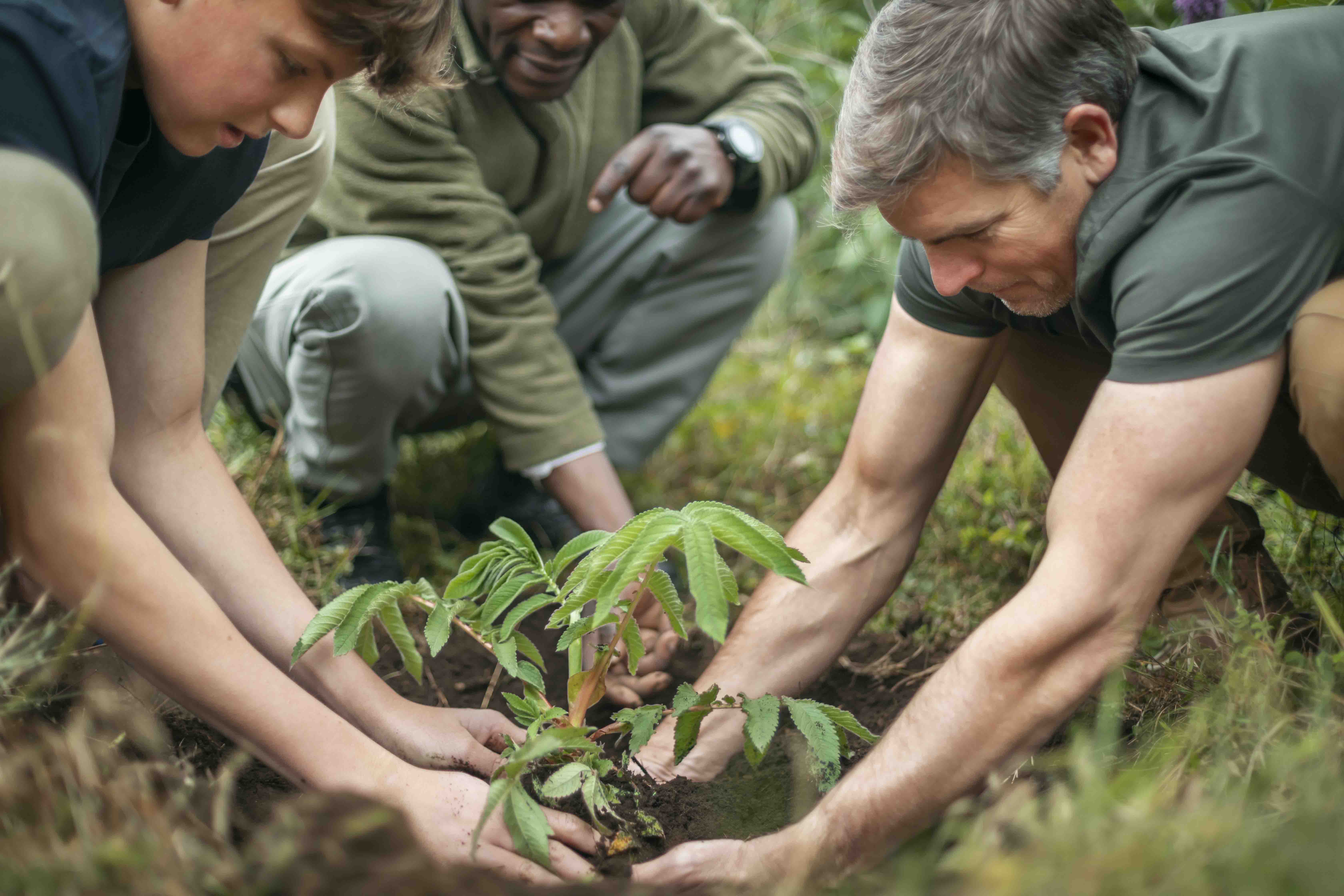 Wilderness Experiences Conservation Tree Planting