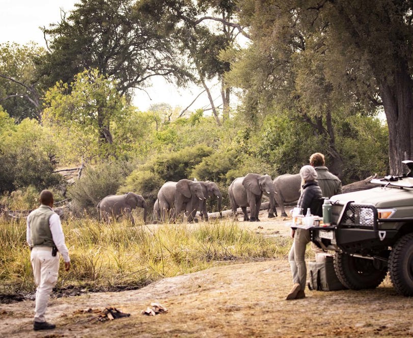 Stopping on a morning game drive for a coffee break in the bush