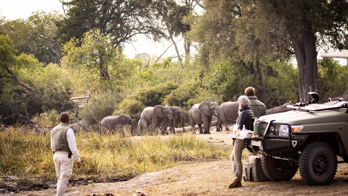 Stopping on a morning game drive for a coffee break in the bush