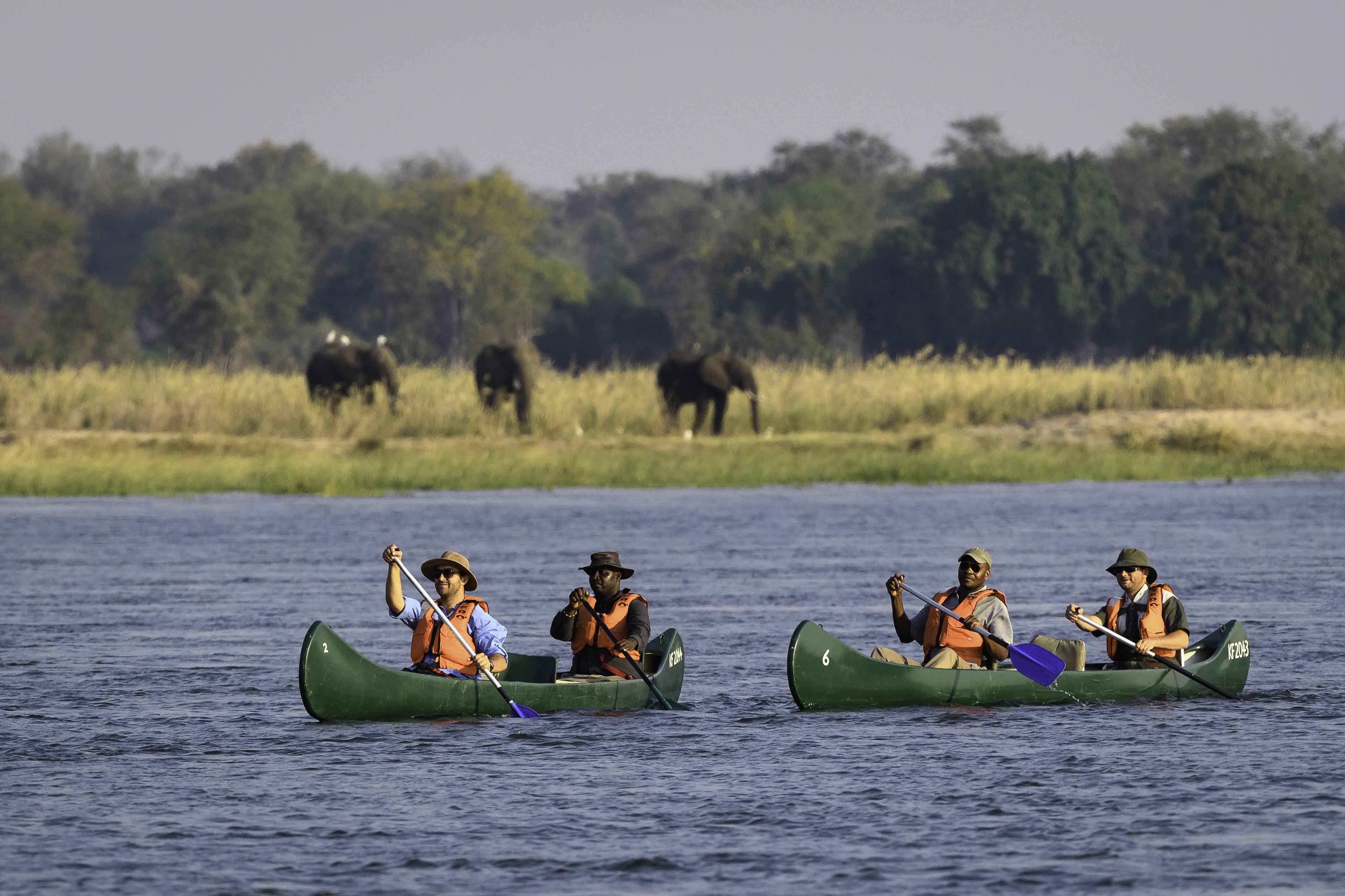 Wilderness Experiences Canoe Zimbabwe Zambezi River