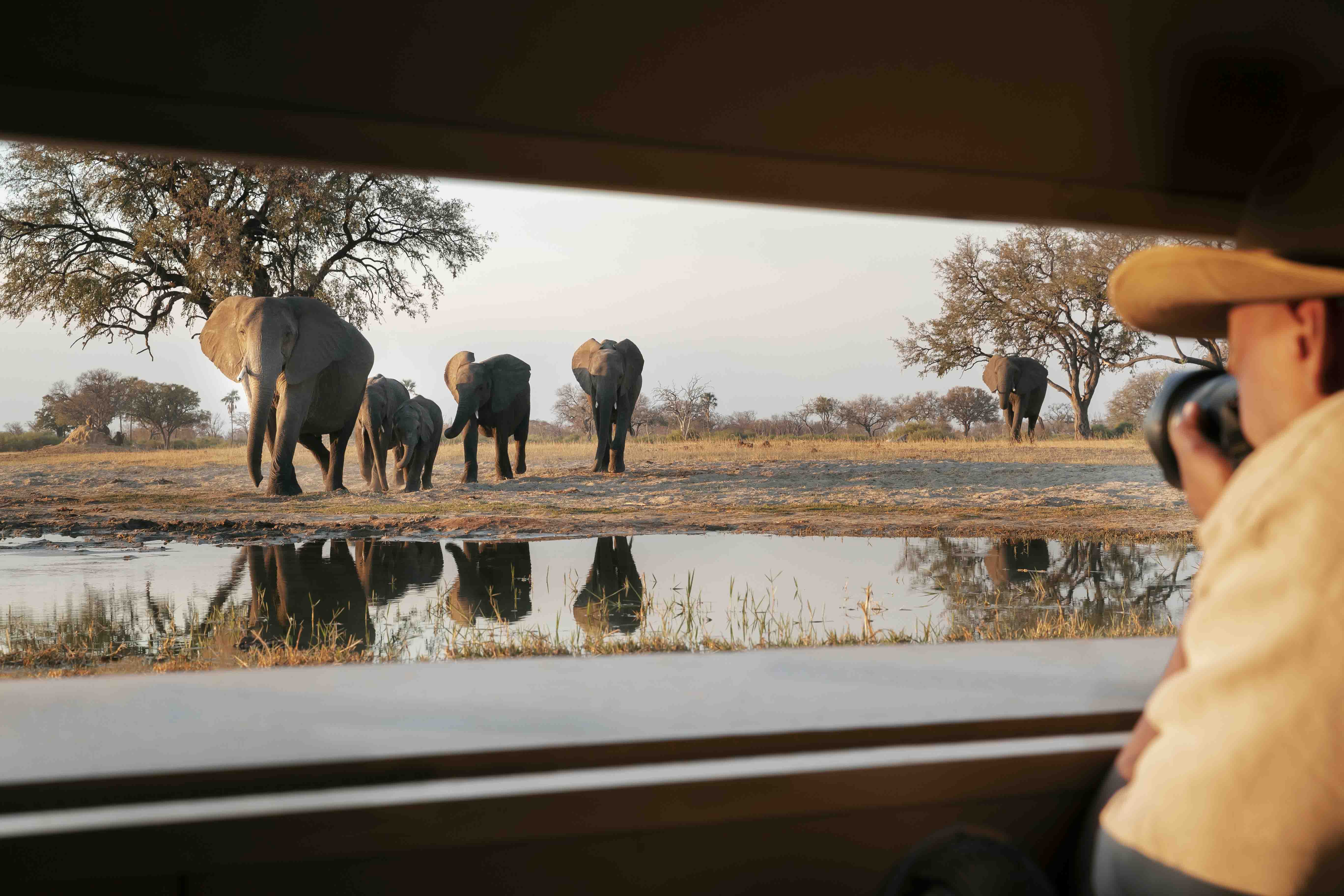 Wilderness Camera Tips Photography On Safari 