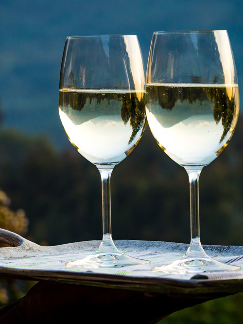 Only the top South African wines served at Wilderness