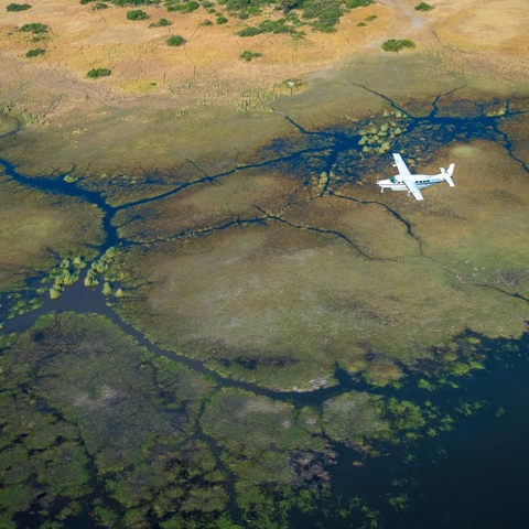 Wilderness Family Wilderness Air Botswana