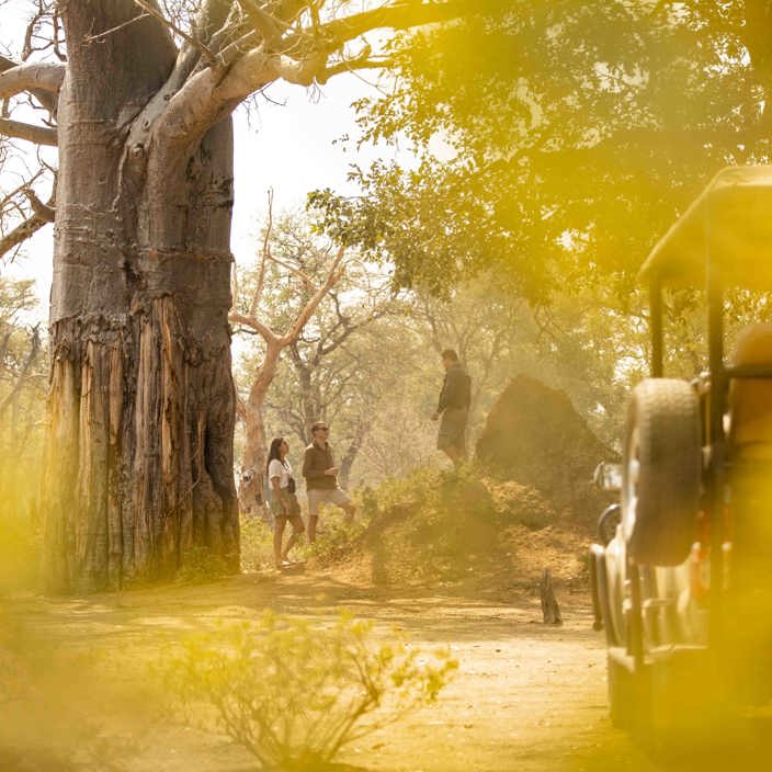 Wilderness Little Ruckomechi Zimbabwe Walking Safari