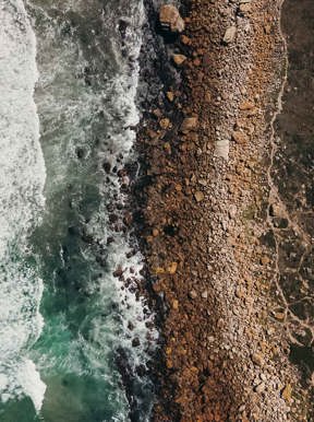 Cape Town Coastline Wilderness Touring