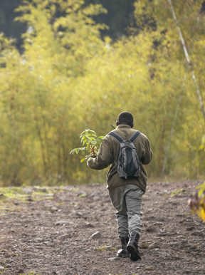 Wilderness Impact Protect Reforestation Rwanda