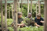 Tree planting experience at Wilderness Bisate in Rwanda