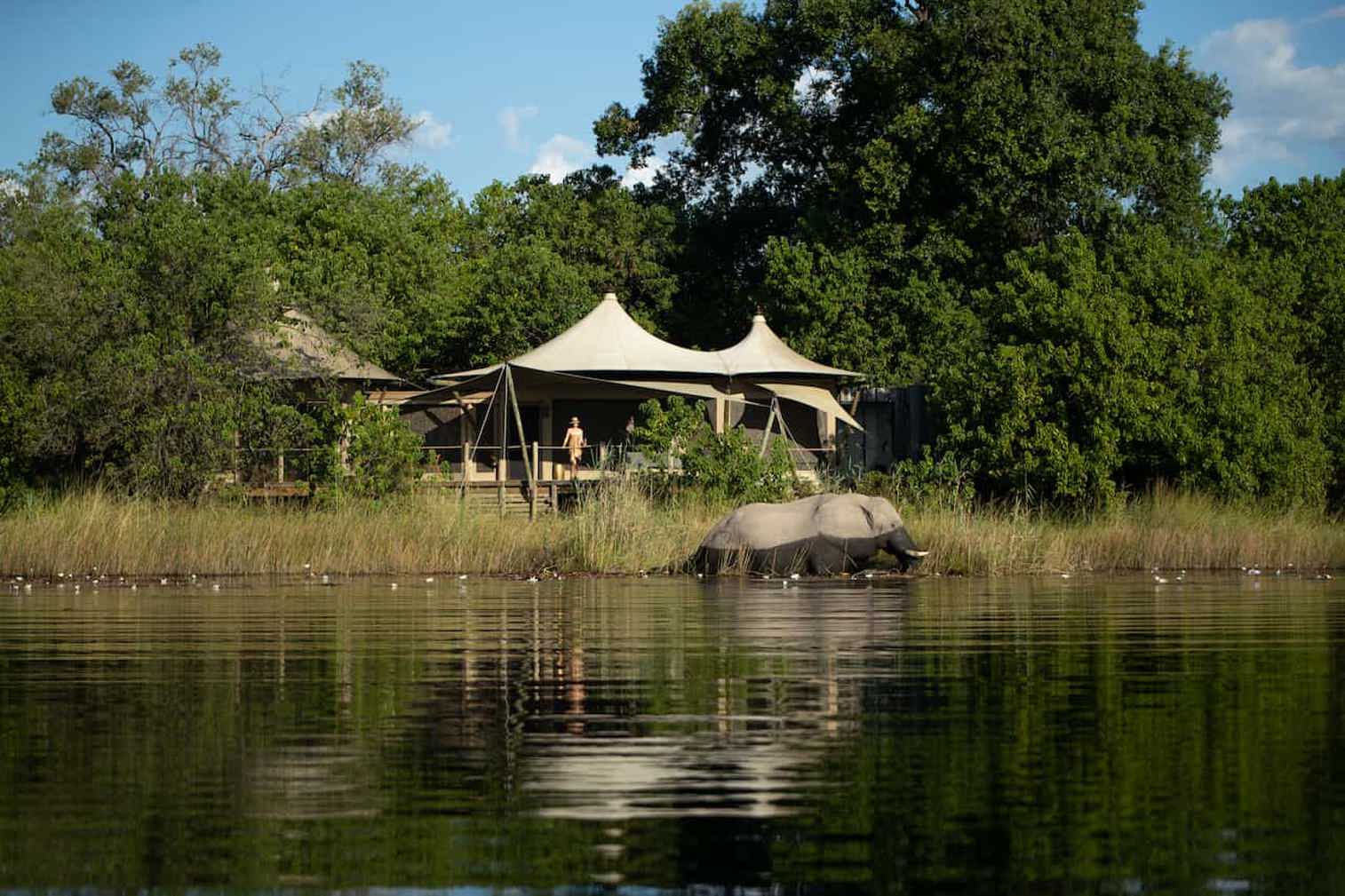 Elephant swimming in lagoon in front of Wilderness DumaTau guest suite