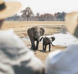 Wilderness Travellers Couples Adventure Together Zimbabwe