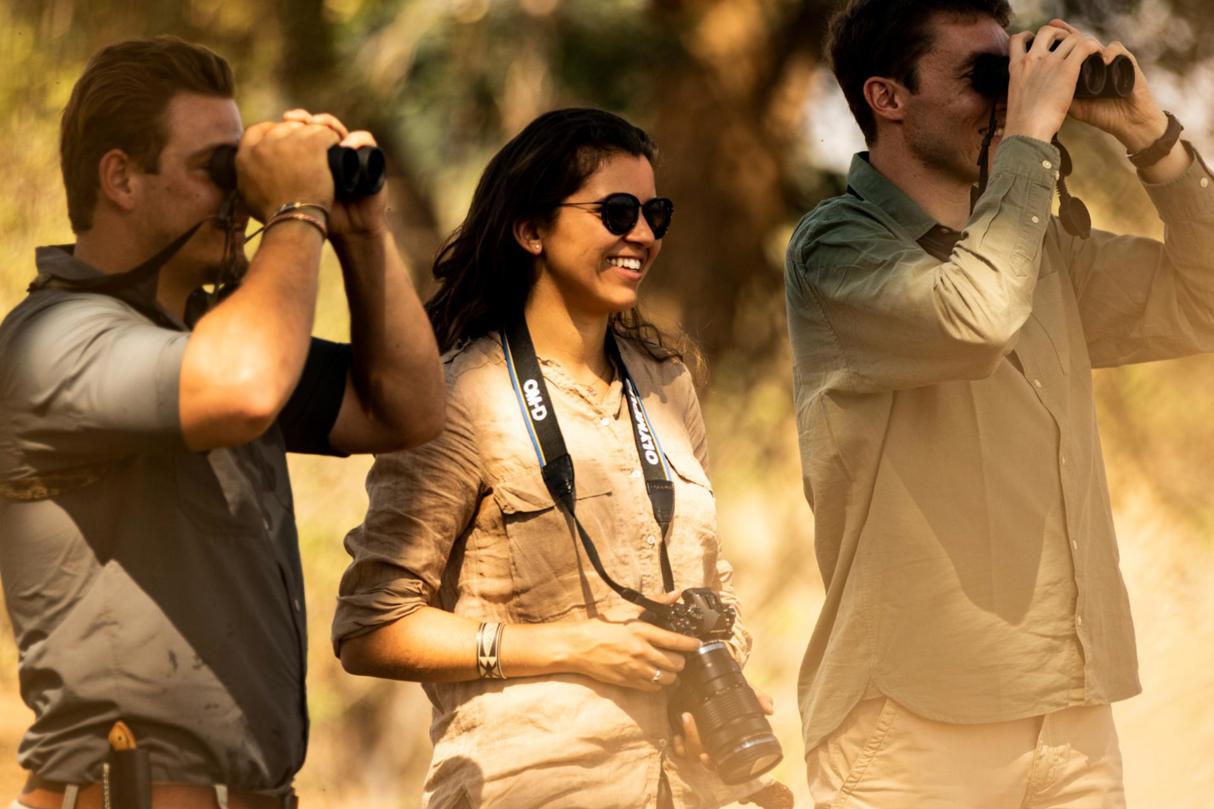 Safari guests spotting wildlife with binoculars