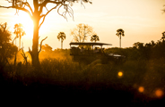 Wilderness Little Mombo Botswana Game Drive
